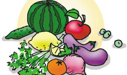 漫画鱼肉,揭示生活中的幽默与智慧