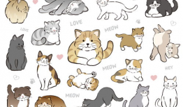 猫漫画手绘,猫漫画里的奇幻世界