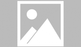 松果漫画,描绘生活的趣味与智慧